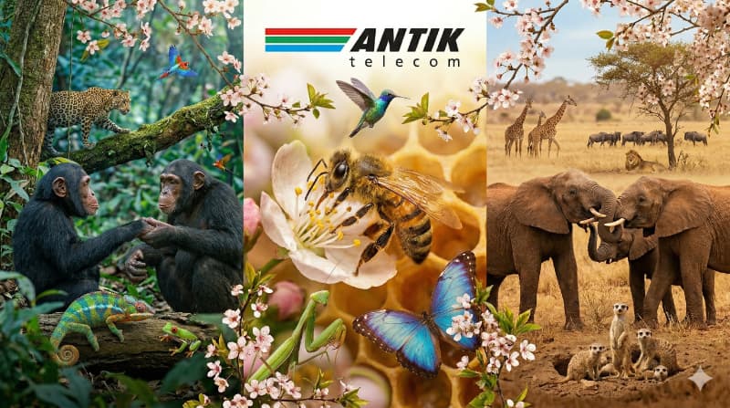 Dokumentární jaro u Antiku: National Geographic a Viasat Nature pro všechny až do konce dubna